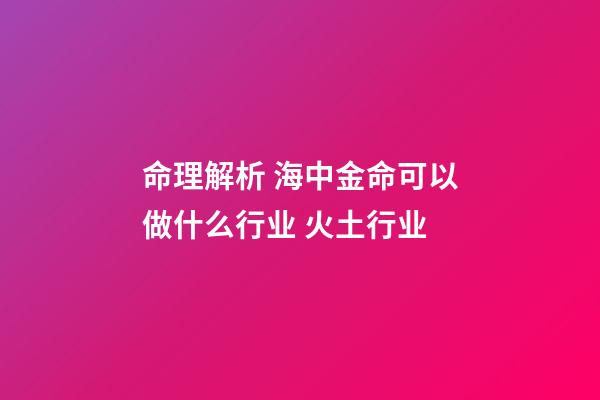 命理解析 海中金命可以做什么行业 火土行业